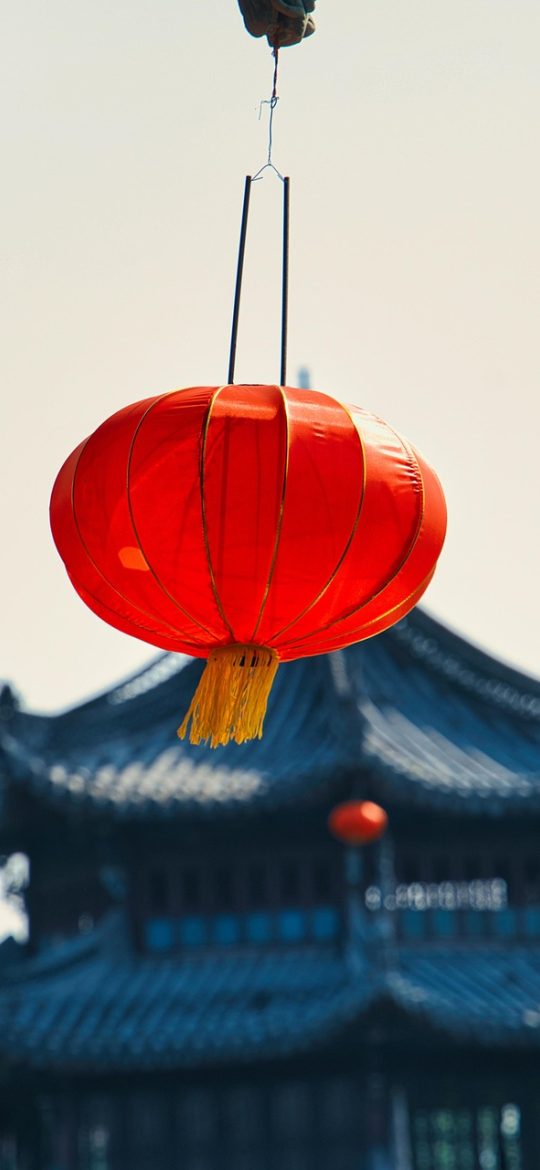 龙影院 App 观看记录页竖屏截图，按时间倒序列出最近浏览过的条目卡片，每条右侧标注上次观看的进度百分比